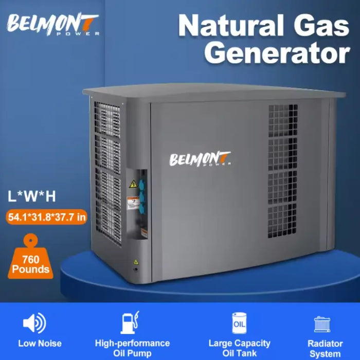 High-Powered Inverter Electric Home LPG & Natural Gas Belmont Generator